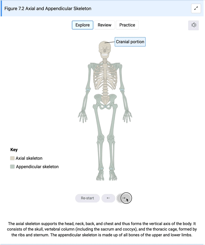 Image Labeling